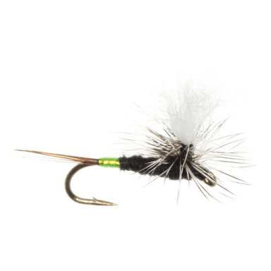 Mini Hot Mayfly - Nextwavemarket