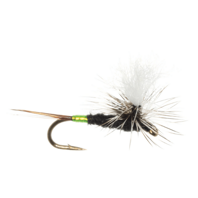 Mini Hot Mayfly - Nextwavemarket
