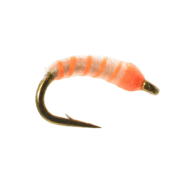 Neon Nightmare - Nextwavemarket