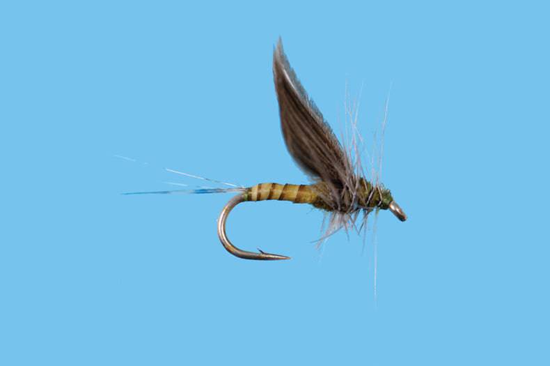 No Hackle Dun Blue Wing Olive - Nextwavemarket