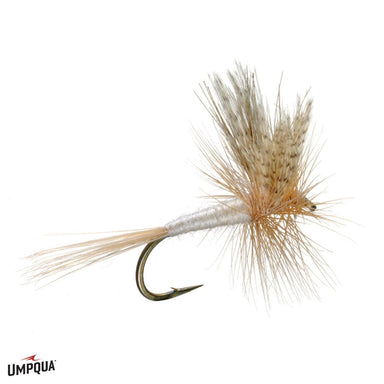 Parachute Light Cahill 12 - Nextwavemarket