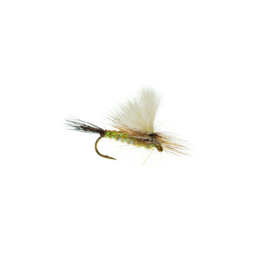 Parawulff Green Drake - Dennis - Nextwavemarket