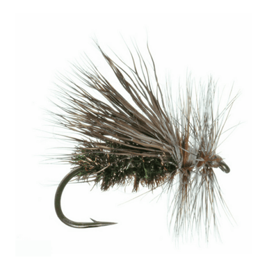Peacock Caddis - Nextwavemarket