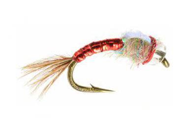 Rainbow Warrior - Nextwavemarket