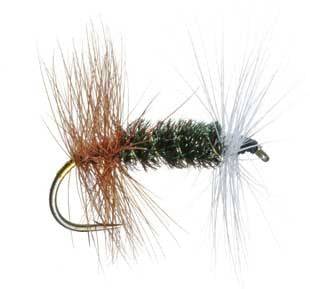 Renegade - Nextwavemarket