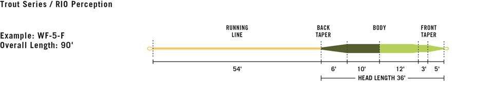 Rio Perception Fly Line - Nextwavemarket
