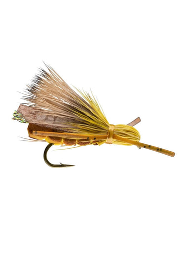 Rogue Foam Stone - Nextwavemarket