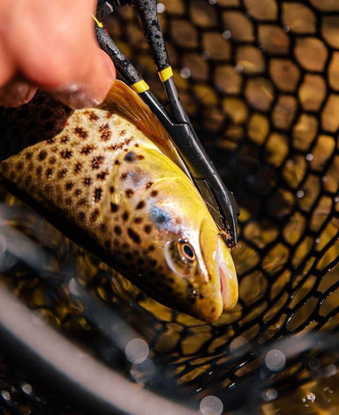 Rogue Hook Removal Forceps - Nextwavemarket