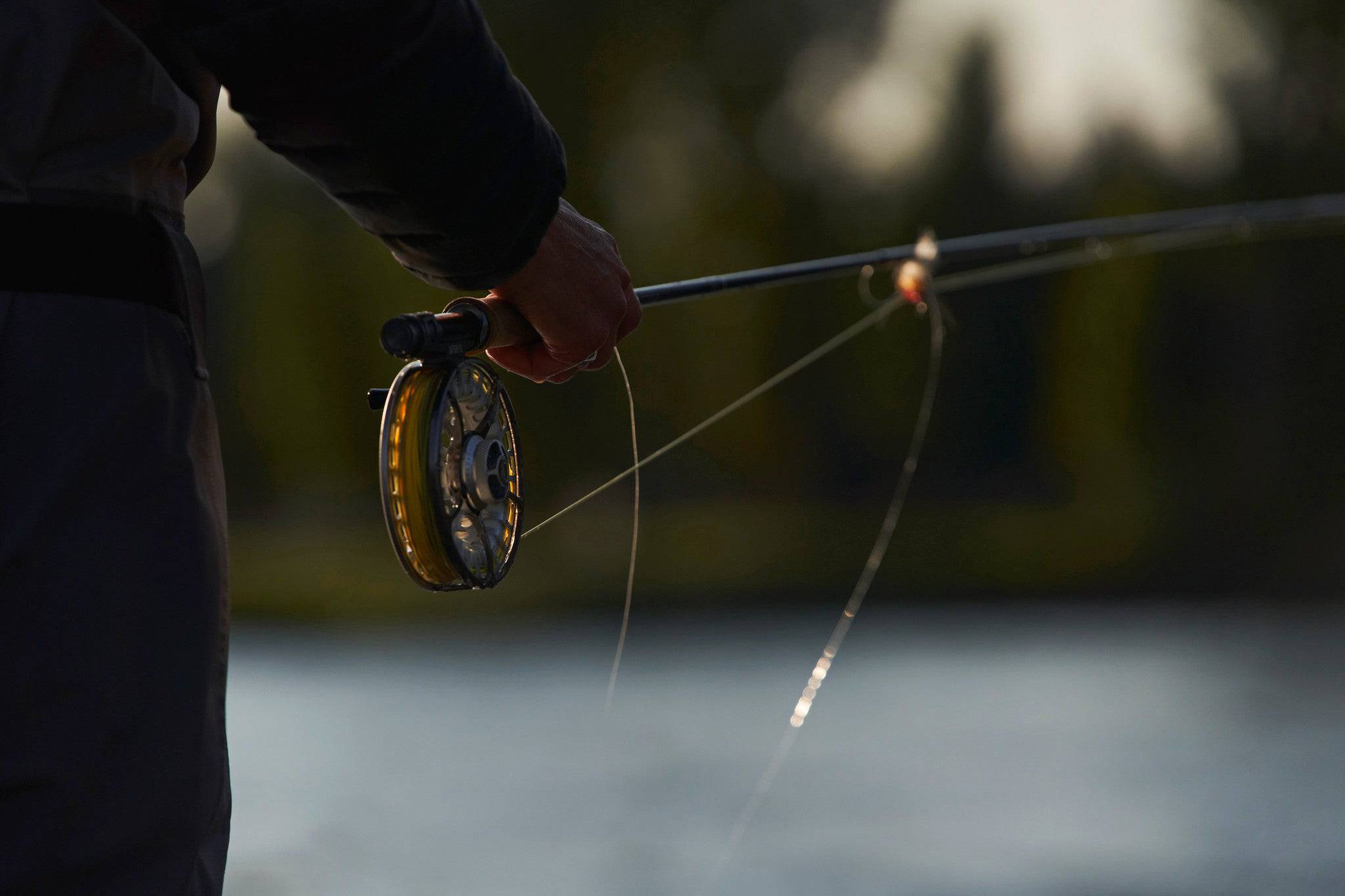 Sage Arbor Xl Reel - Nextwavemarket