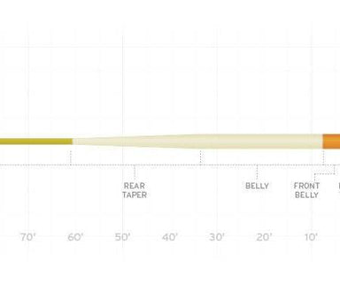 Scientific Anglers Amplitude Smooth Anadro/Indicator - Nextwavemarket