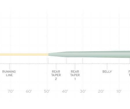 Scientific Anglers Amplitude Smooth Infinity Salt - Nextwavemarket