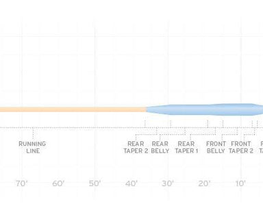 Scientific Anglers Amplitude Smooth Tarpon - Nextwavemarket