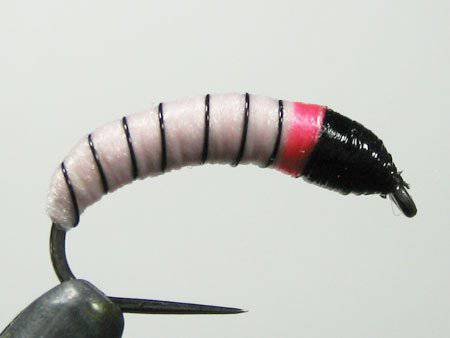 S&D Grub Czech Nymph - Lt. Pink - Parrotts - Nextwavemarket