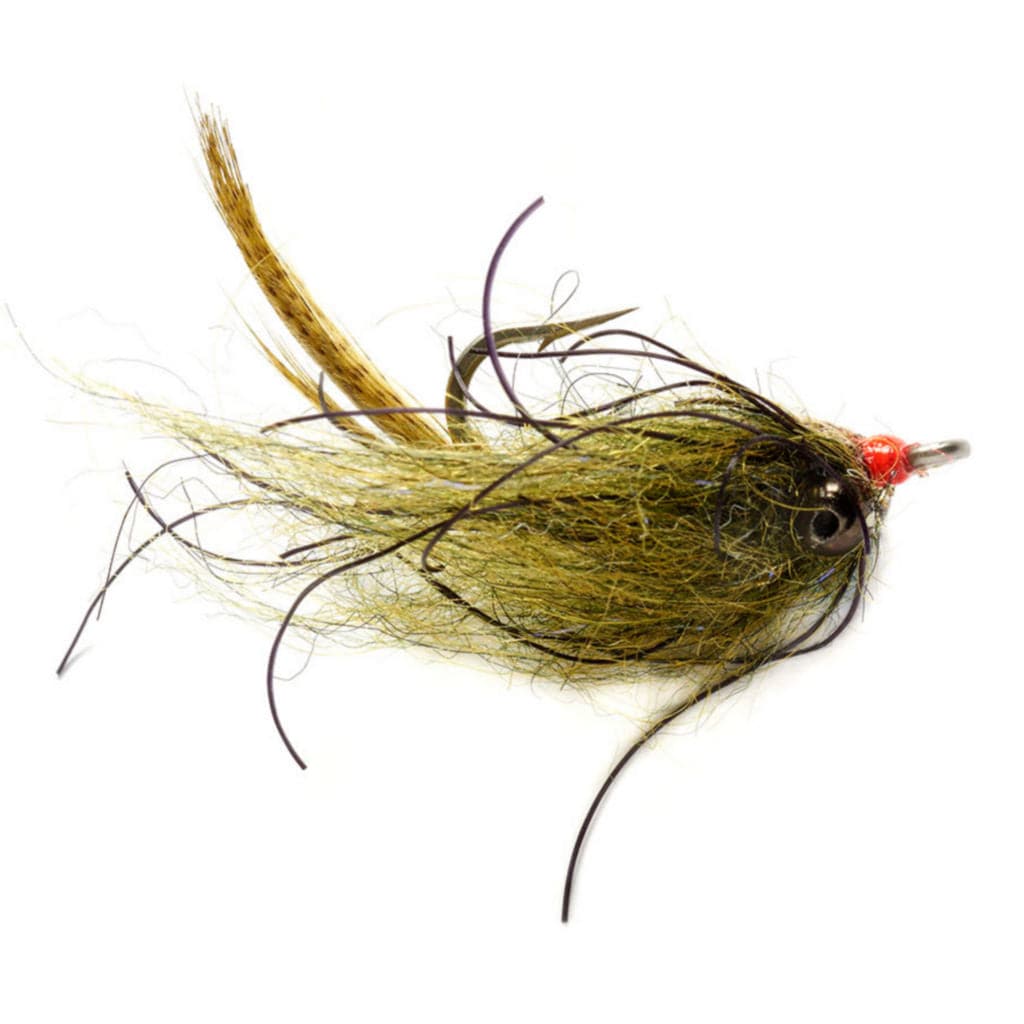 Shaggin' Dragon - Nextwavemarket