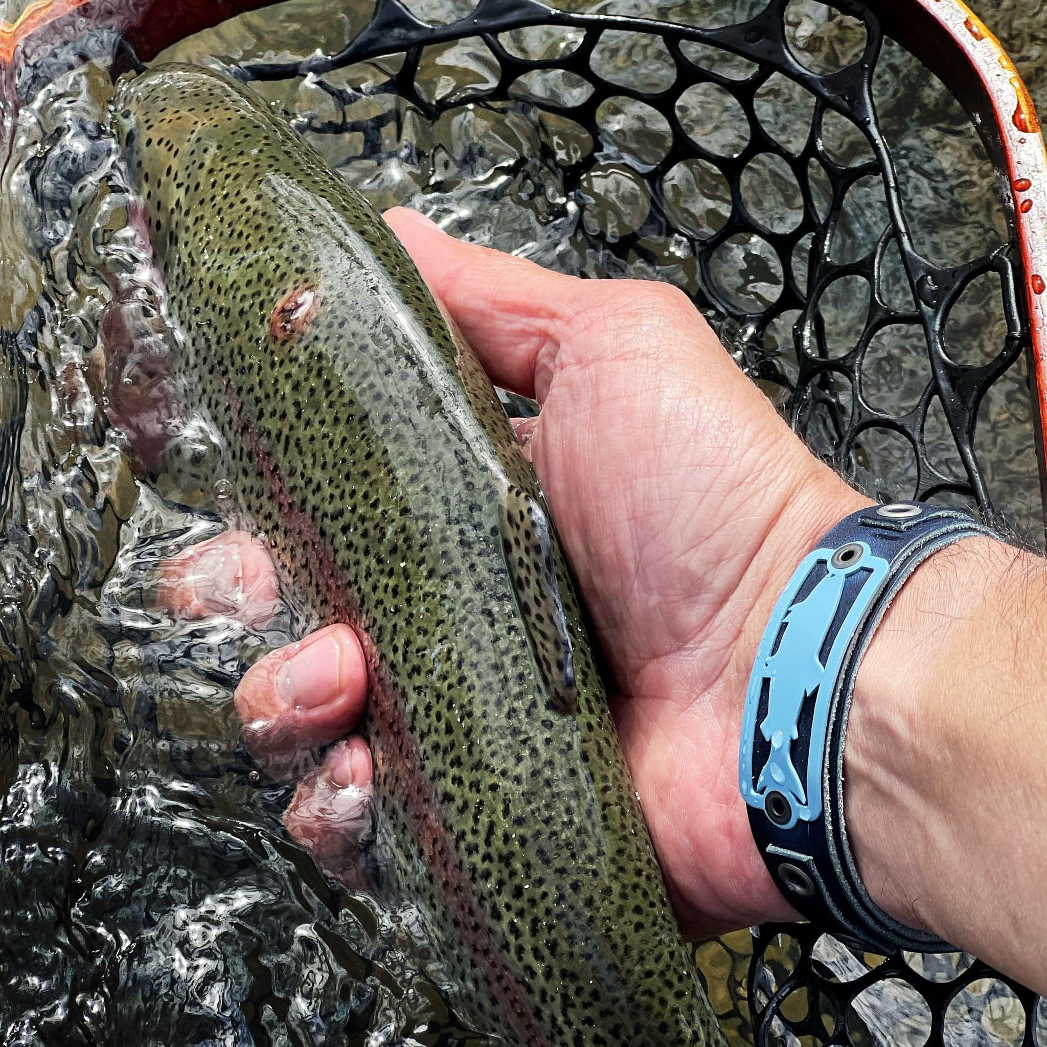 Sightline Provisions Bracelet - Steely Gray Trout 2.0 - Nextwavemarket