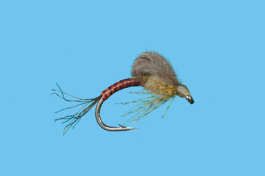 Solitude Loop Wing Emerger Pmd - Nextwavemarket