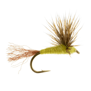 Sparkle Dun - Pmd - Nextwavemarket