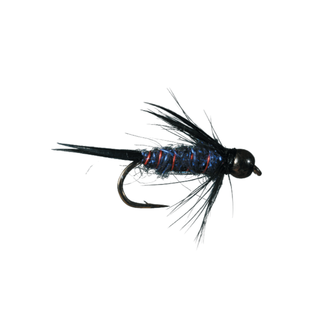 Sparkle Prince - Nextwavemarket