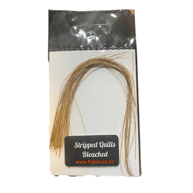 Stripped Peacock Quills - Nextwavemarket