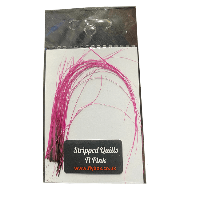Stripped Peacock Quills - Nextwavemarket