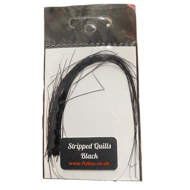 Stripped Peacock Quills - Nextwavemarket