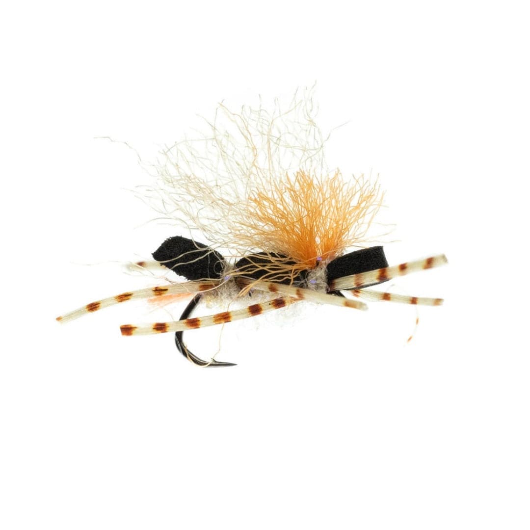 Stubby Chubby - Nextwavemarket