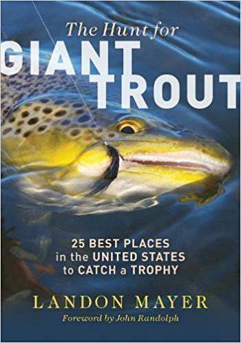 The Hunt For Giant Trout - Landon Mayer - Nextwavemarket