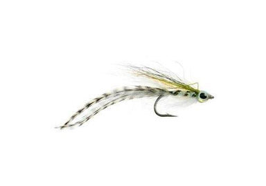 Tide Rider - Nextwavemarket