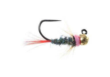Tungsten Dart Jig Nymph - Nextwavemarket