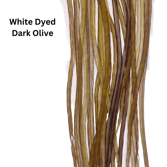 Whiting 100 Pack - 12 - Nextwavemarket