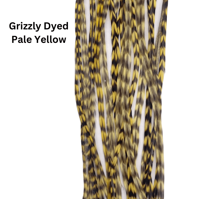 Whiting 100 Pack - 12 - Nextwavemarket